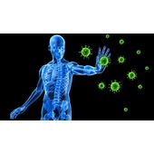 Immunrendszer 